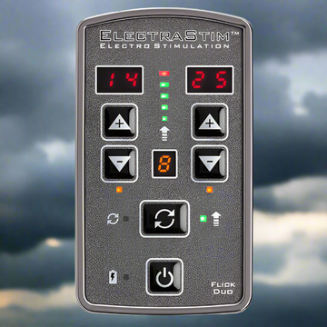 ElectraStim Flick Duo EM80-E Toys My Amazing Fantasy